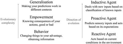 Reactive, Proactive, and Inductive Agents: An Evolutionary Path for Biological and Artificial Spiking Networks